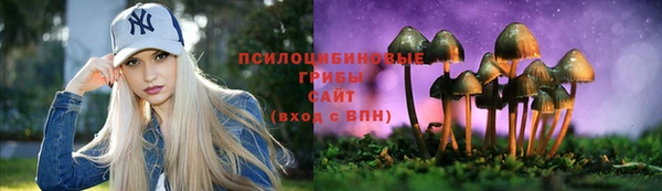 прущая мука Каменка