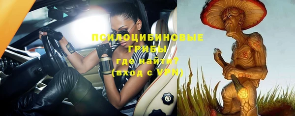 ГАЛЛЮЦИНОГЕННЫЕ ГРИБЫ Каменногорск