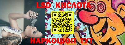 МДПВ Новозыбков