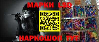 МДПВ Новозыбков