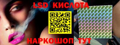 МДПВ Новозыбков