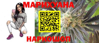 МДПВ Новозыбков
