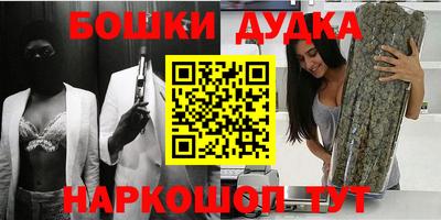 МДПВ Новозыбков