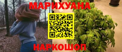 МДПВ Новозыбков