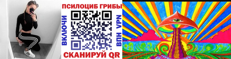 Галлюциногенные грибы Magic Shrooms  Тайшет 