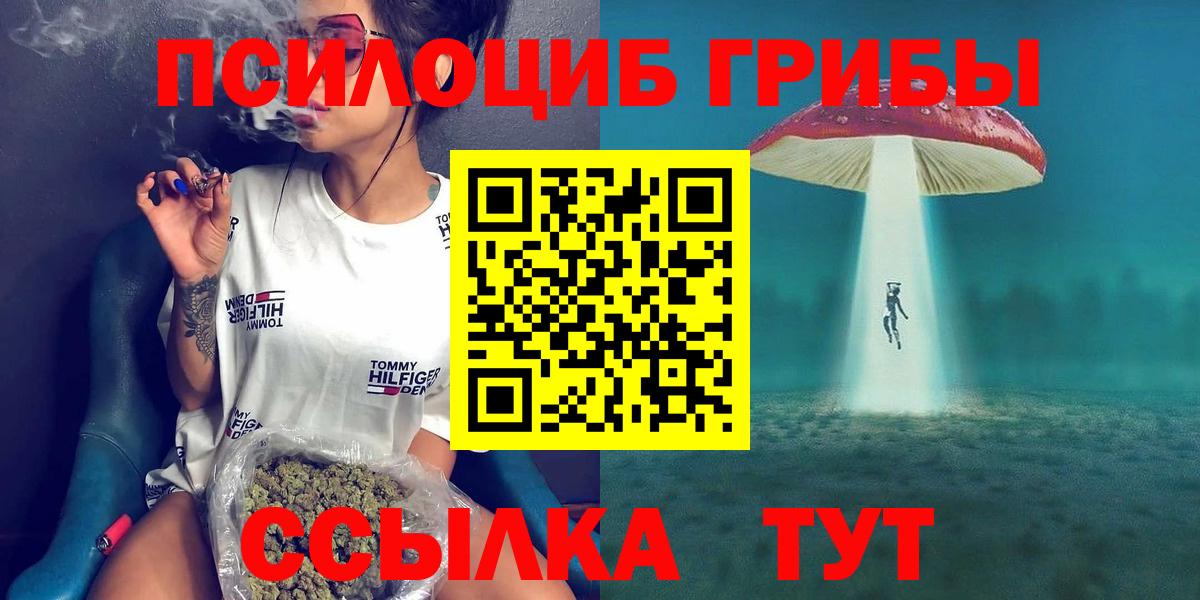 Псилоцибиновые грибы Psilocybine cubensis Тайшет
